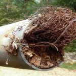 trusted plumber services in Wilmington, CA