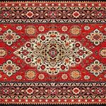 The Enhancing Appeal of Persian Rugs in Your Premises