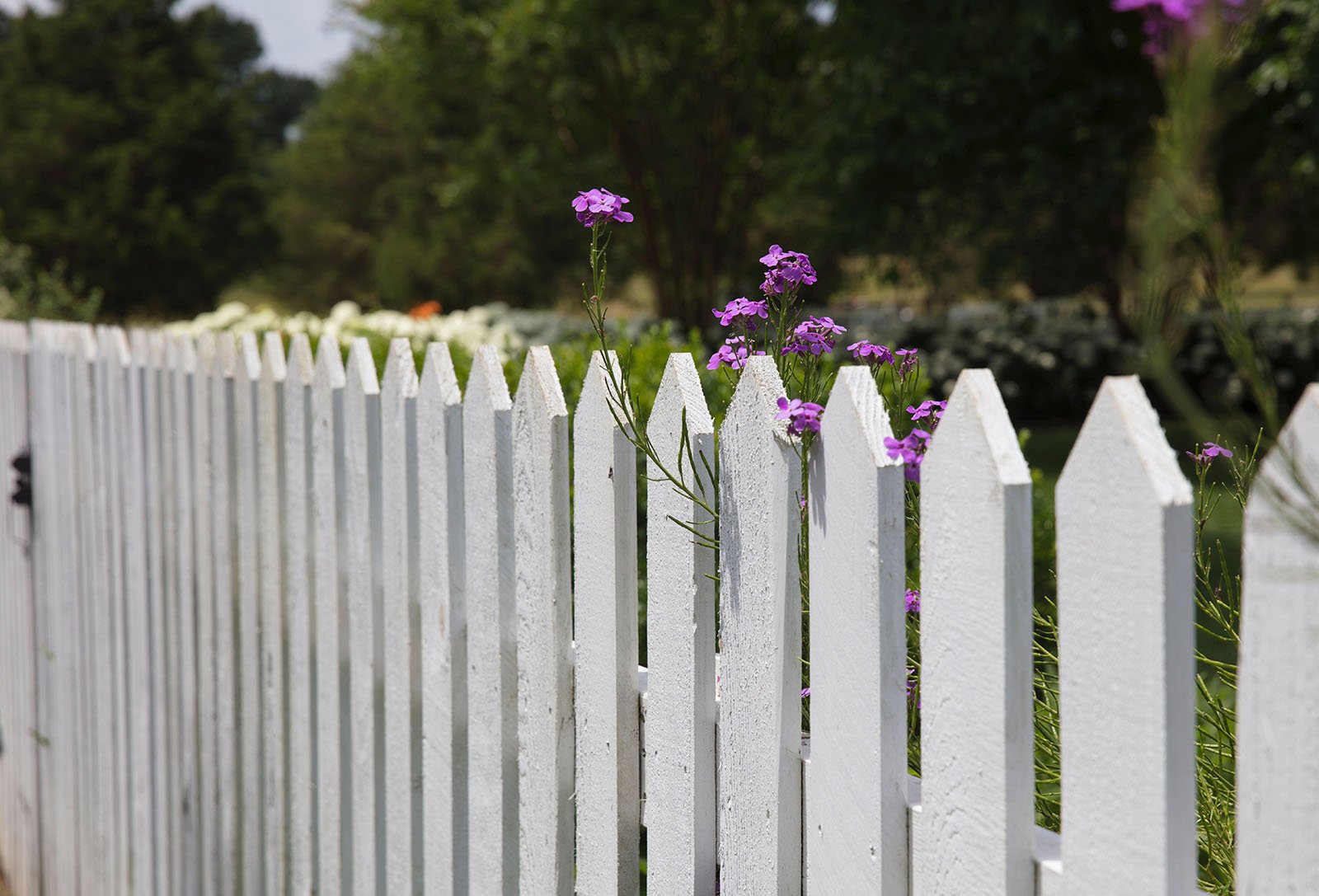 Fence Company Austin