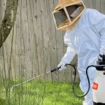 Advanced ways to control pest