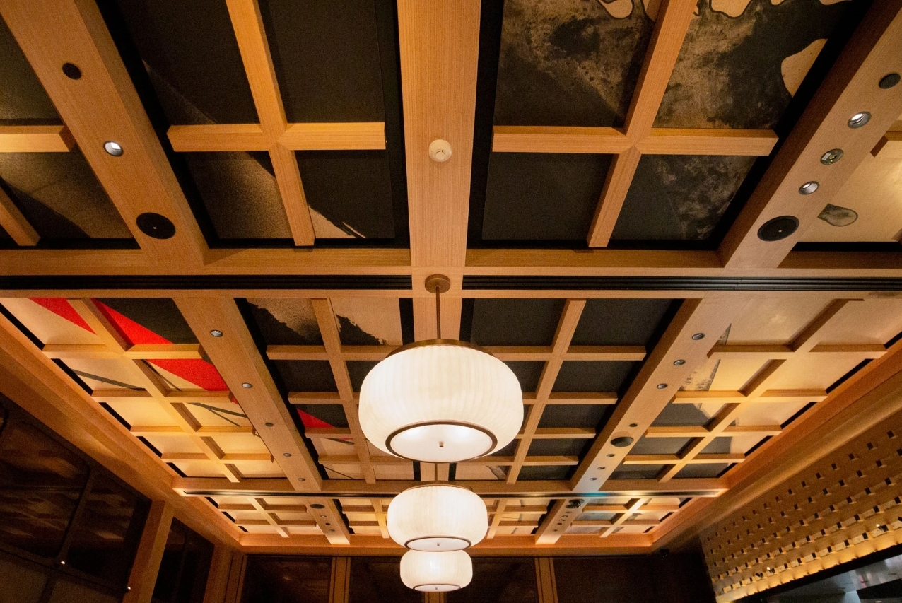 acoustic ceiling tiles